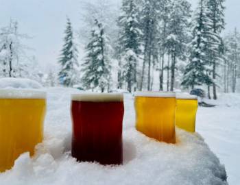 Donner Creek Brewing